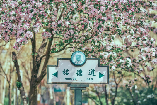 它是中国第一所现代大学，走出“两弹一星”功臣，培养84位杰出政界校友！