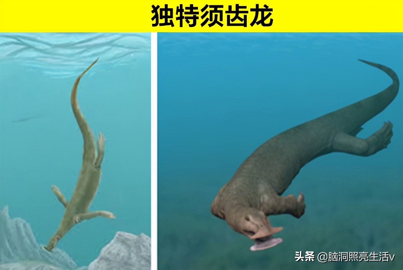 鲜少有人能够知晓的，8个只存在于史前文明的神秘动物
