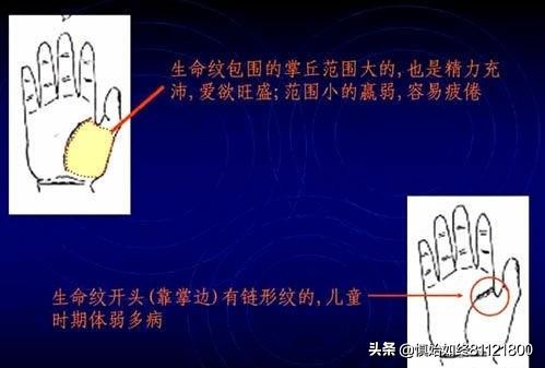 女性手相图解：简易手相算命指南