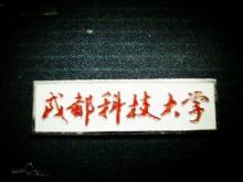 中国高校之四川大学