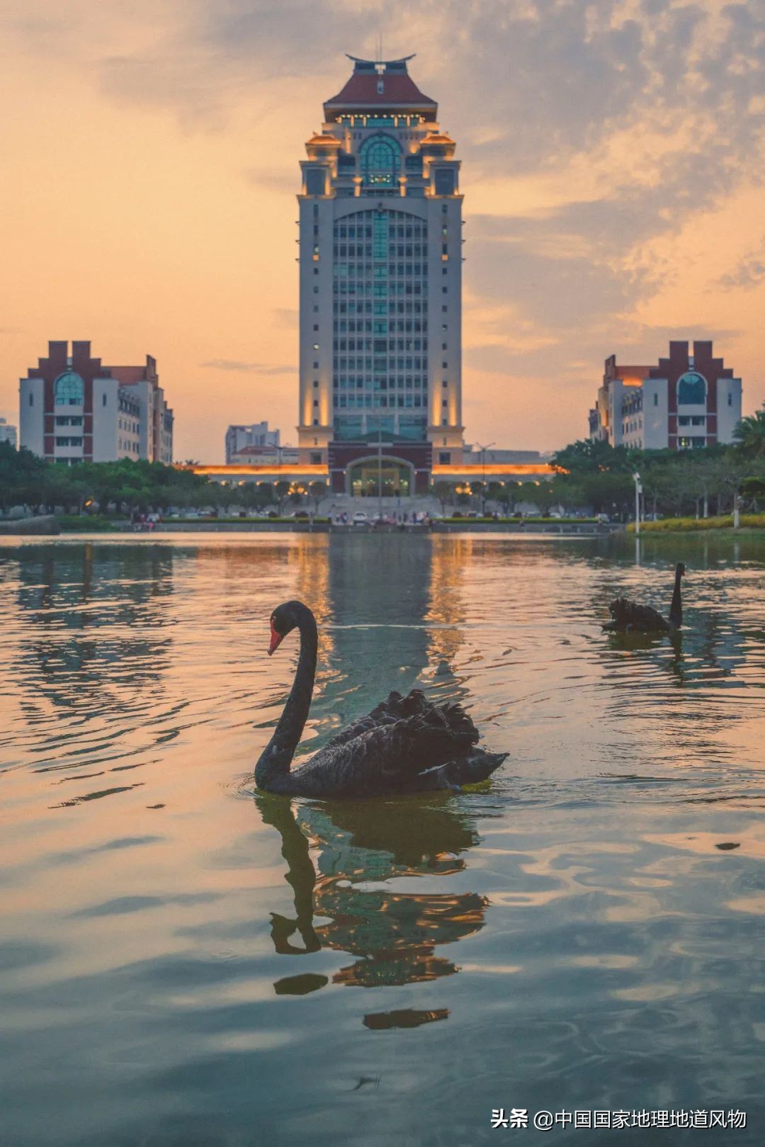 厦门大学，凭什么是中国“最美”校园？