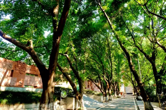 这所行事低调却成绩华丽的名校，他值得被爱