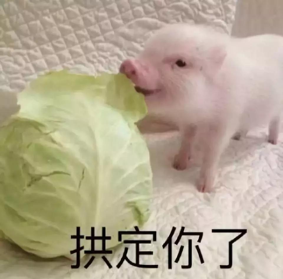 猪年限定皮肤有哪些（猪年限定皮肤）