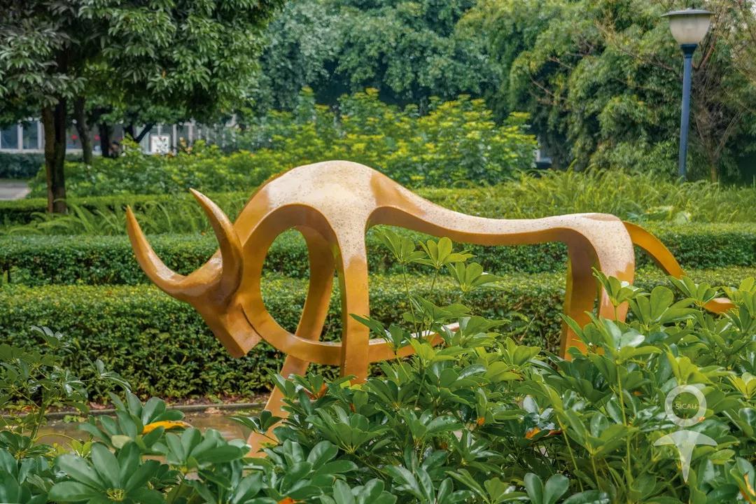 经常上热搜？揭秘四川这所高校的