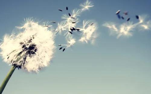 如何知道一个男人已经爱上你了？做到以下五点中的三点你就安心吧