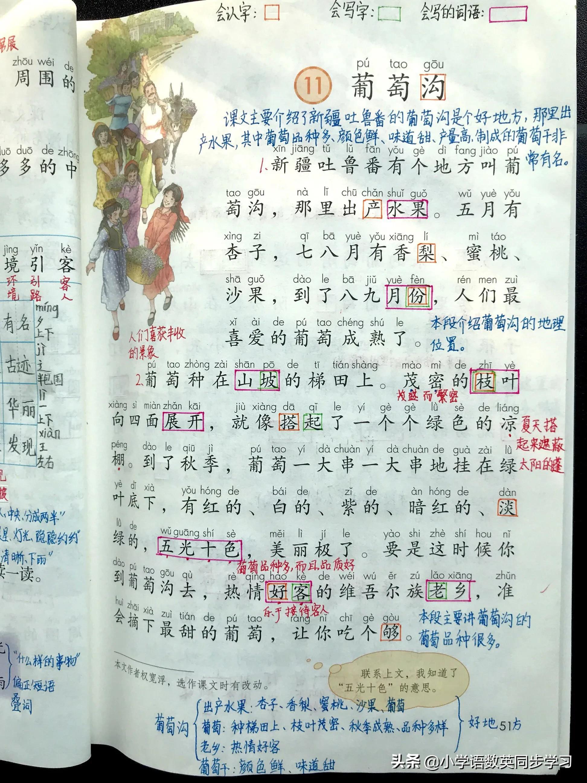 小学语文二年级上册课文11《葡萄沟》超详细教师笔记