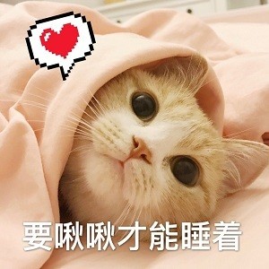 猫咪撩老公表情包合集｜好困困，要老公亲亲才起来