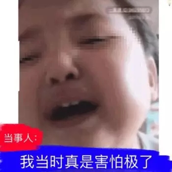 小刚几当事人表情包合集｜可爱也有罪吗？