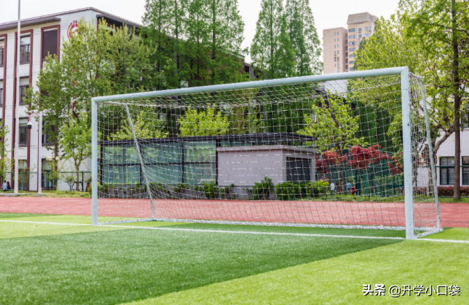 上海交通大学有33%的毕业生，被保送读研，85%的学生被保送到本校