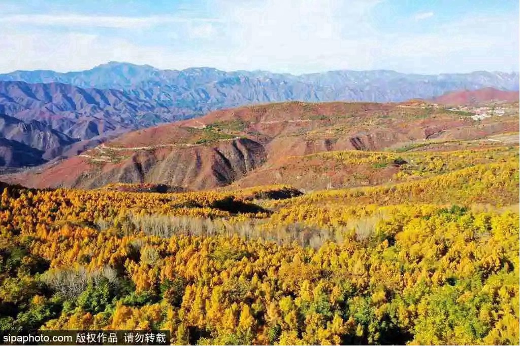 门头沟区赏红叶指南→