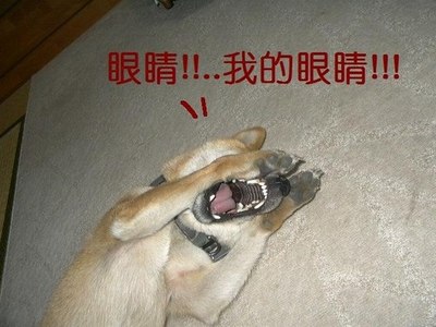 我们生活中所接触的所有东西都高于绝对零度,当然也包括我们人类自身