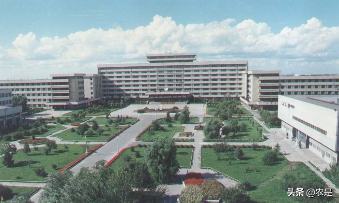 黄贺，东北农业大学动物遗传育种与繁殖系副教授，动物繁殖专家