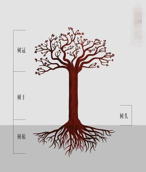 何谓“标、本”“根、结”?两者有何异同？