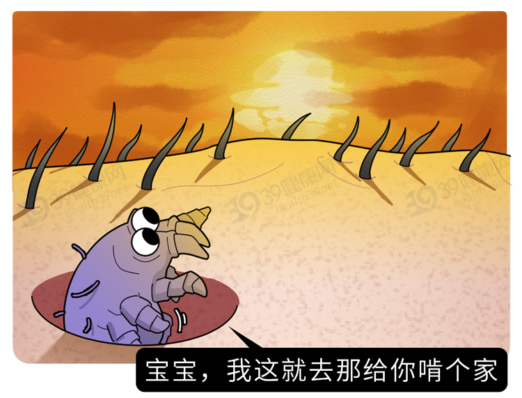 疥螨到底是什么？感染后有何症状？这2种传播途径，男女都要小心