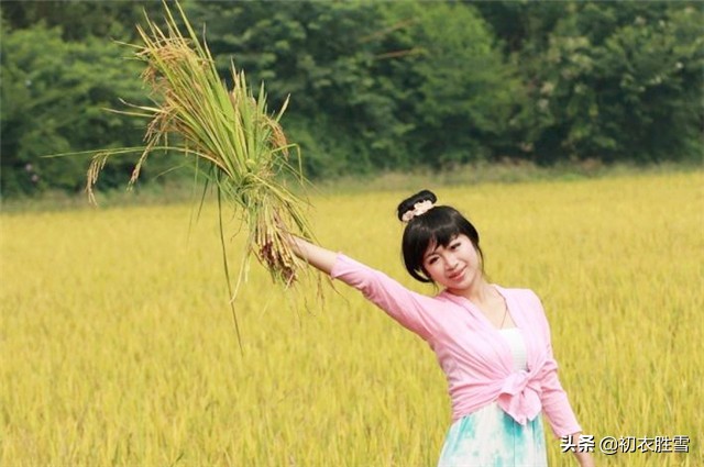 曹雪芹的理想国：一畦春韭绿，十里稻花香