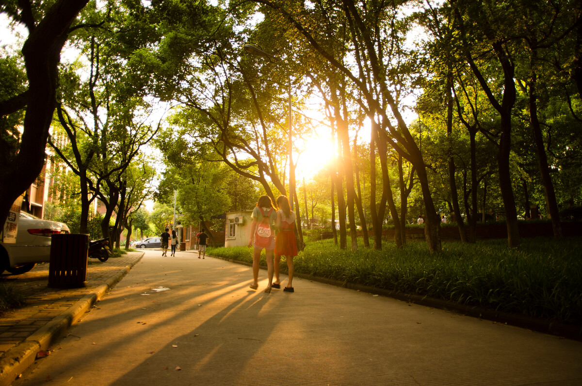 一锤定音！14省33所大学转设，独立学院退出历史舞台言之尚早