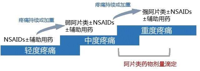 为什么在医院使用吗啡、杜冷丁类镇痛药不会让人上瘾？