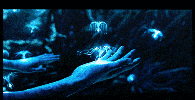 抵制3D，人人有责？3D电影在华杯葛始末