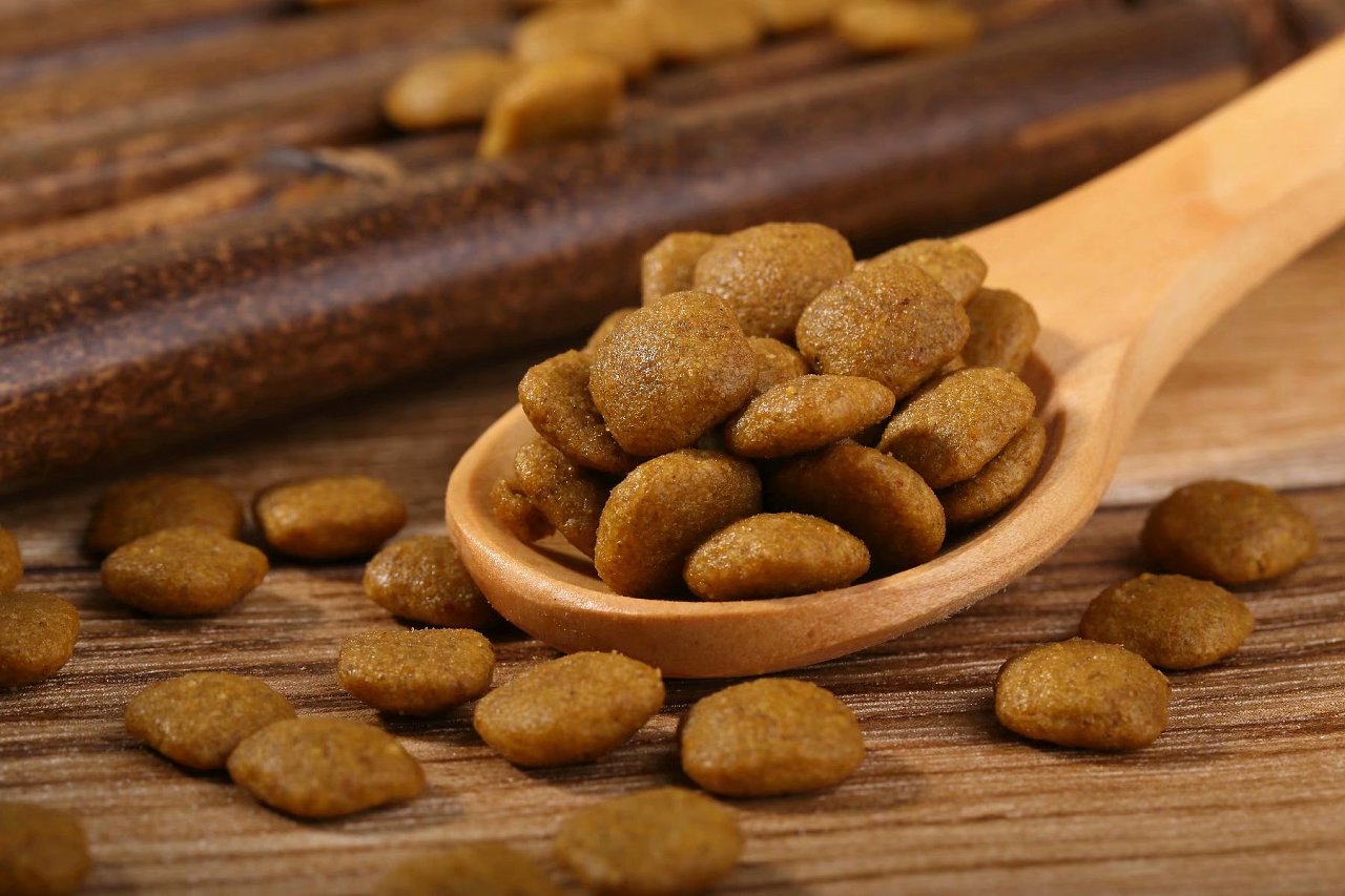 中型犬吃什么狗粮好,性价比高的