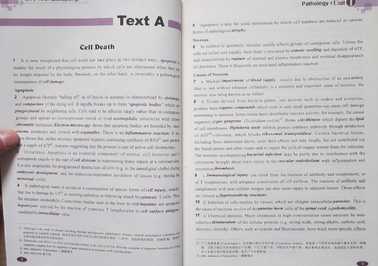 将英语“踢出”高考呼声越来越高，教育部回应，家长：这下放心了