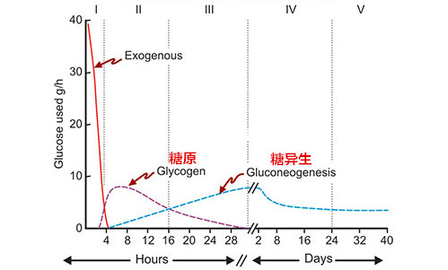 低碳生酮是（低碳生酮饮食初学者指南大全）