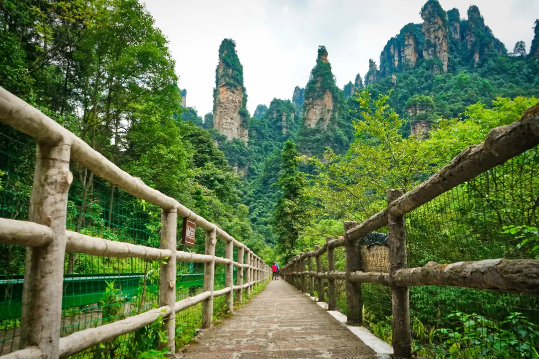 张家界含泪闭园后,又被封神:第一张就美哭了