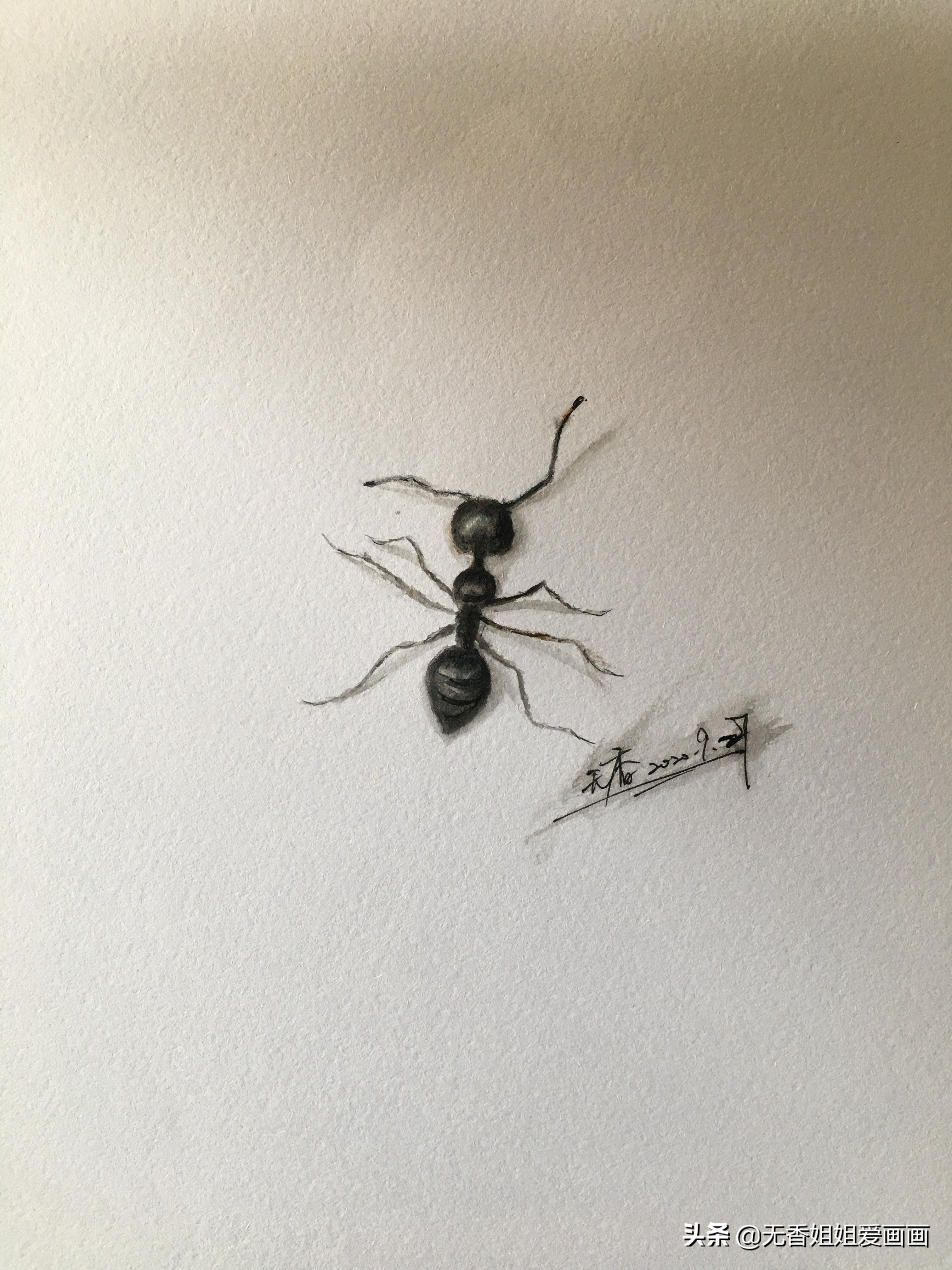 蚂蚁简笔画（在家无聊不如学学画画简单又修身养性）