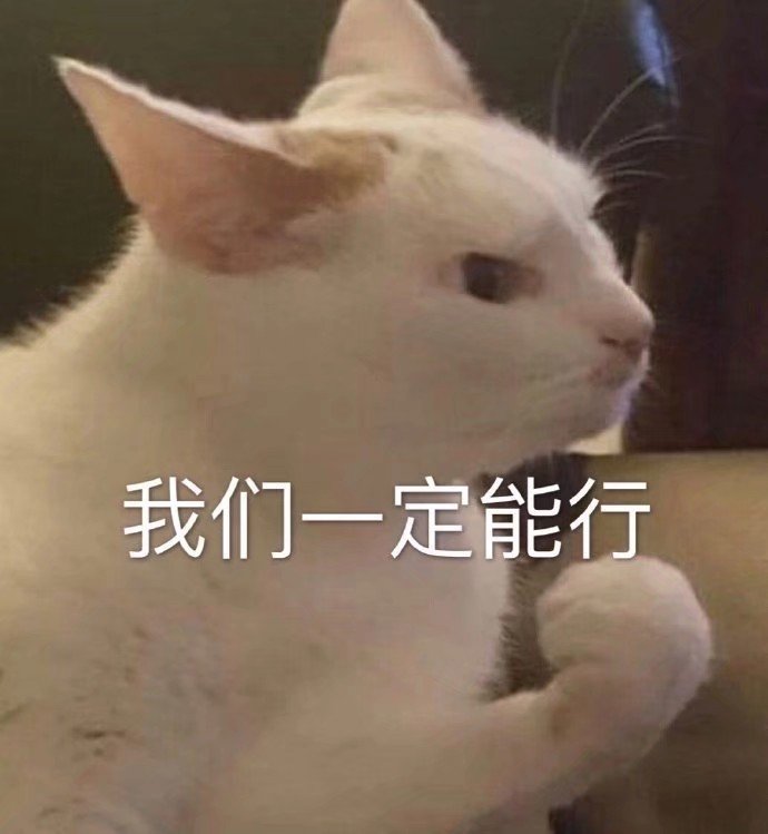 猫咪表情包合集｜我就是馋你的身子