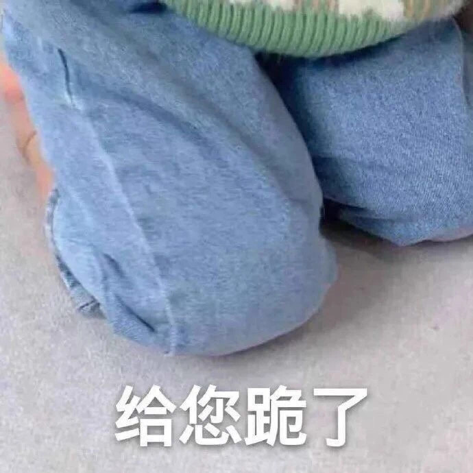 表情包：给您跪了