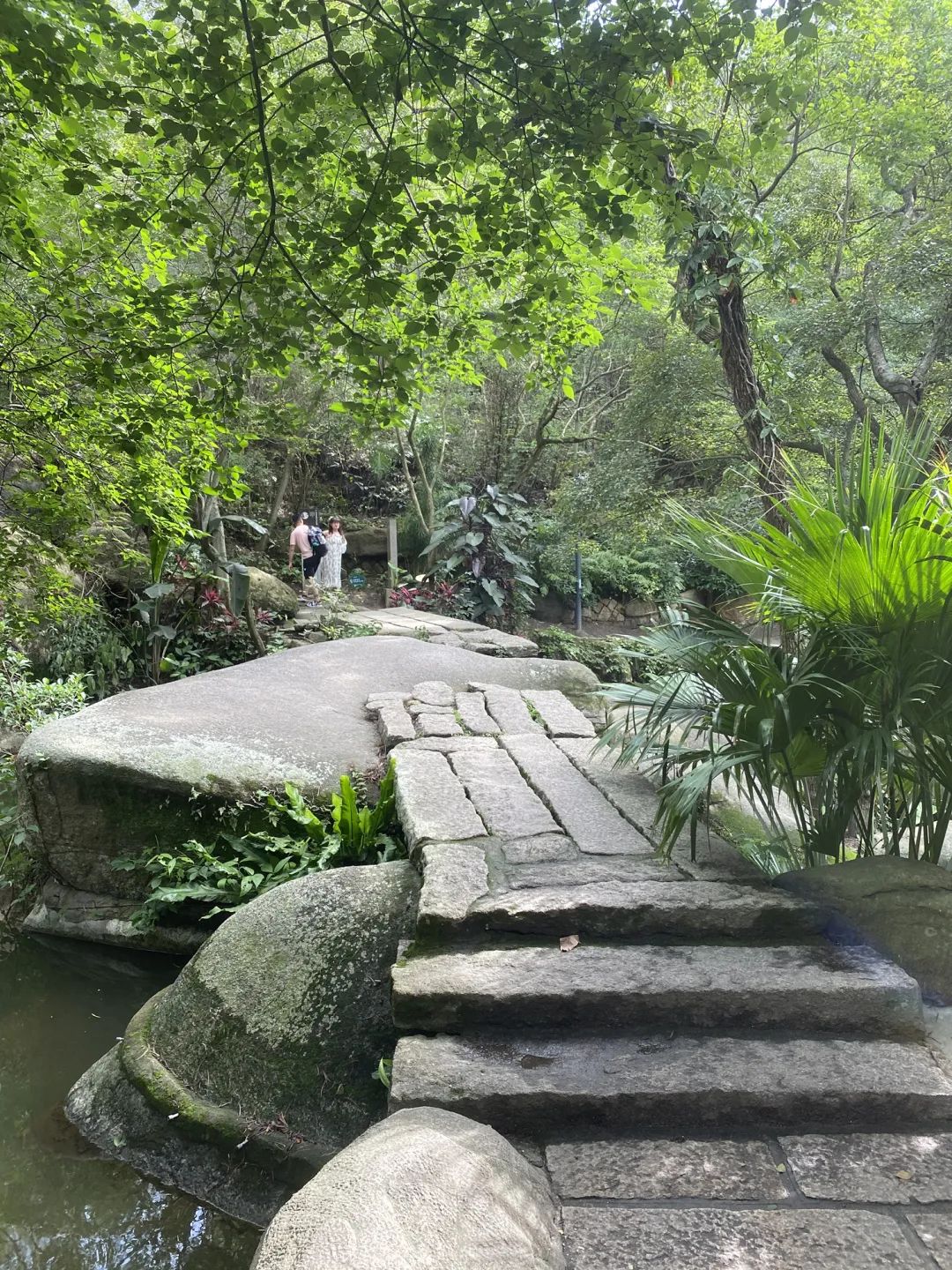 紫云岩风景景点介绍(紫云岩作文范文) _力贝号