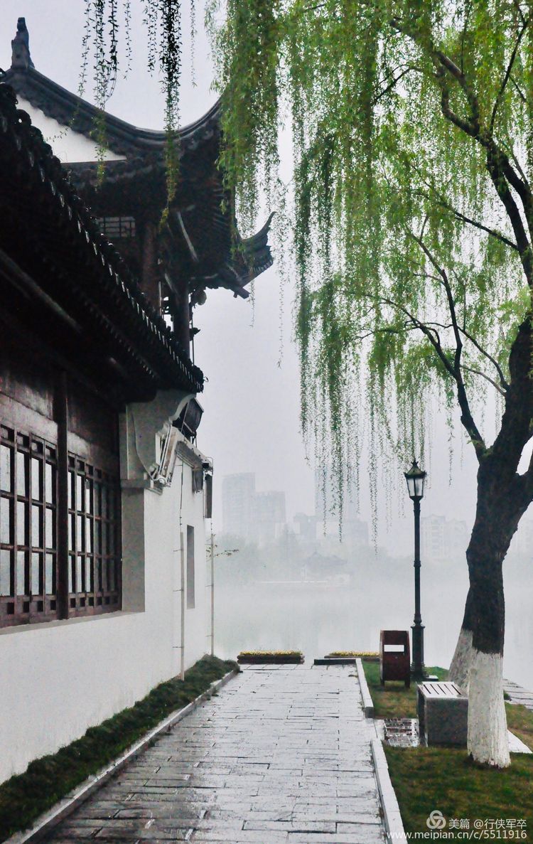 松湖烟雨愁图片