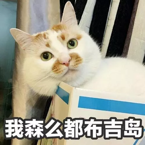 “我不知道”别再说I don't know，这样显得你很无知