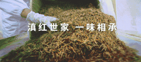 茶识 | 一盏茶的时间是多久？