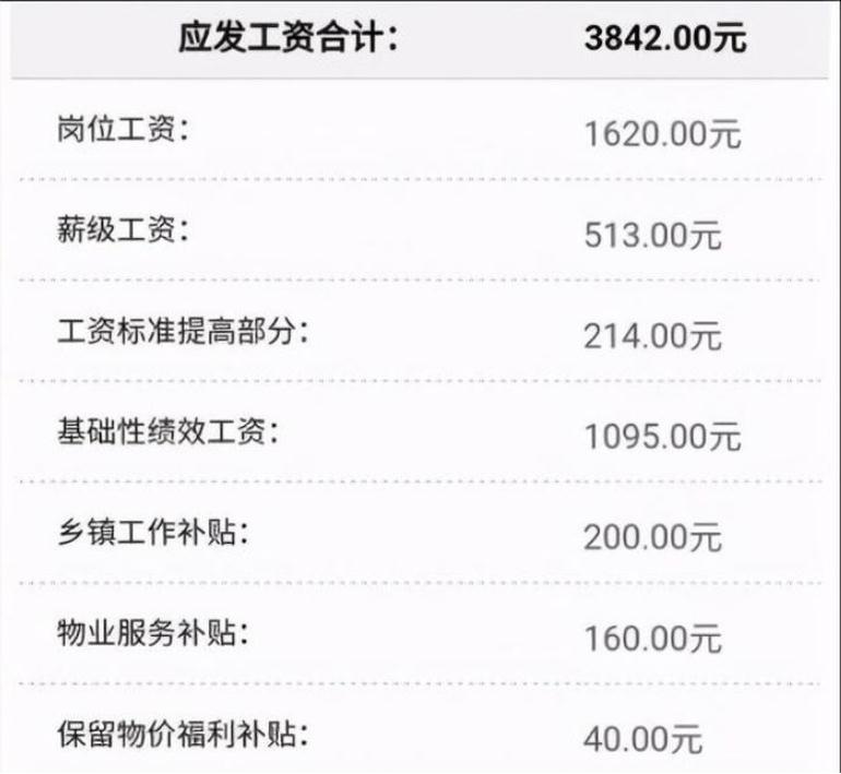 老师真实收入究竟有多少？月薪过万不在少数，看完工资条网友酸了