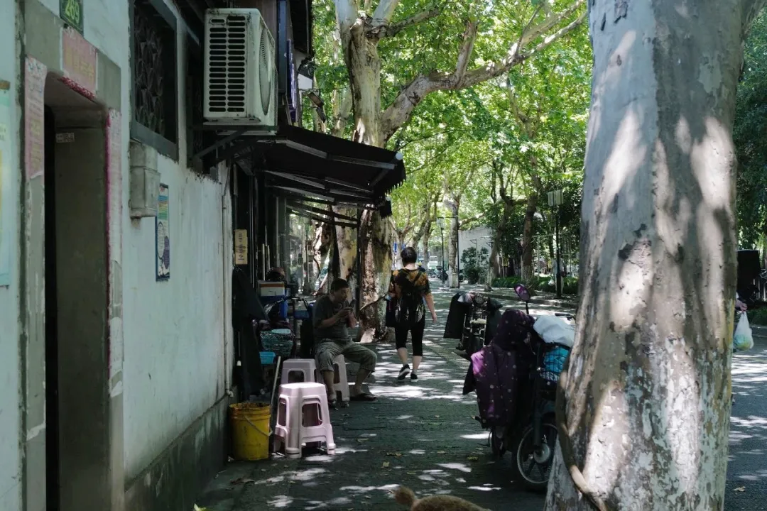 再有人问你杭州怎么玩,把这篇文章甩给他