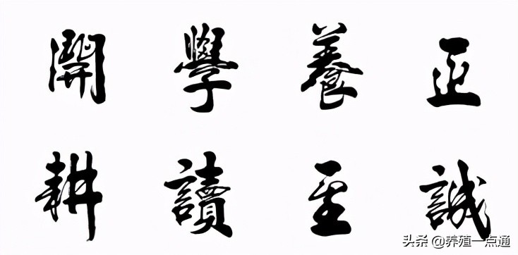 严达伟，云南农业大学动物科学系教授、硕导，猪种选育与利用专家