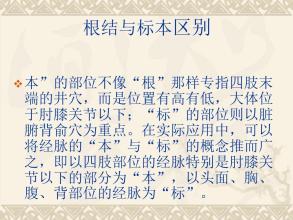 何谓“标、本”“根、结”?两者有何异同？
