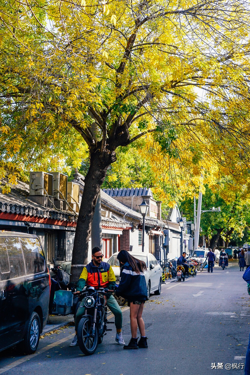 再有半个月，北京将迎来最美的季节，12个银杏宝藏地，附机位攻略