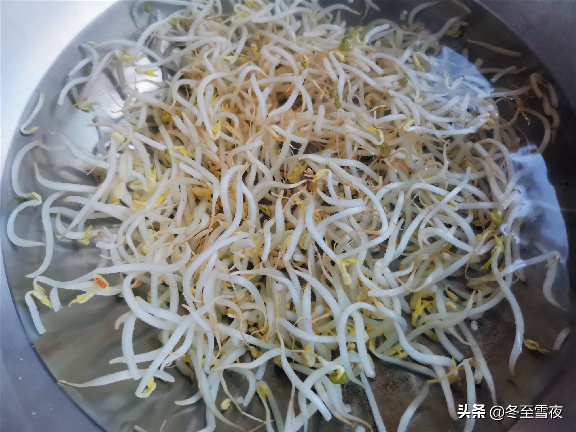 油泼干豆腐丝的做法（教你这样干豆腐劲道嫩滑）