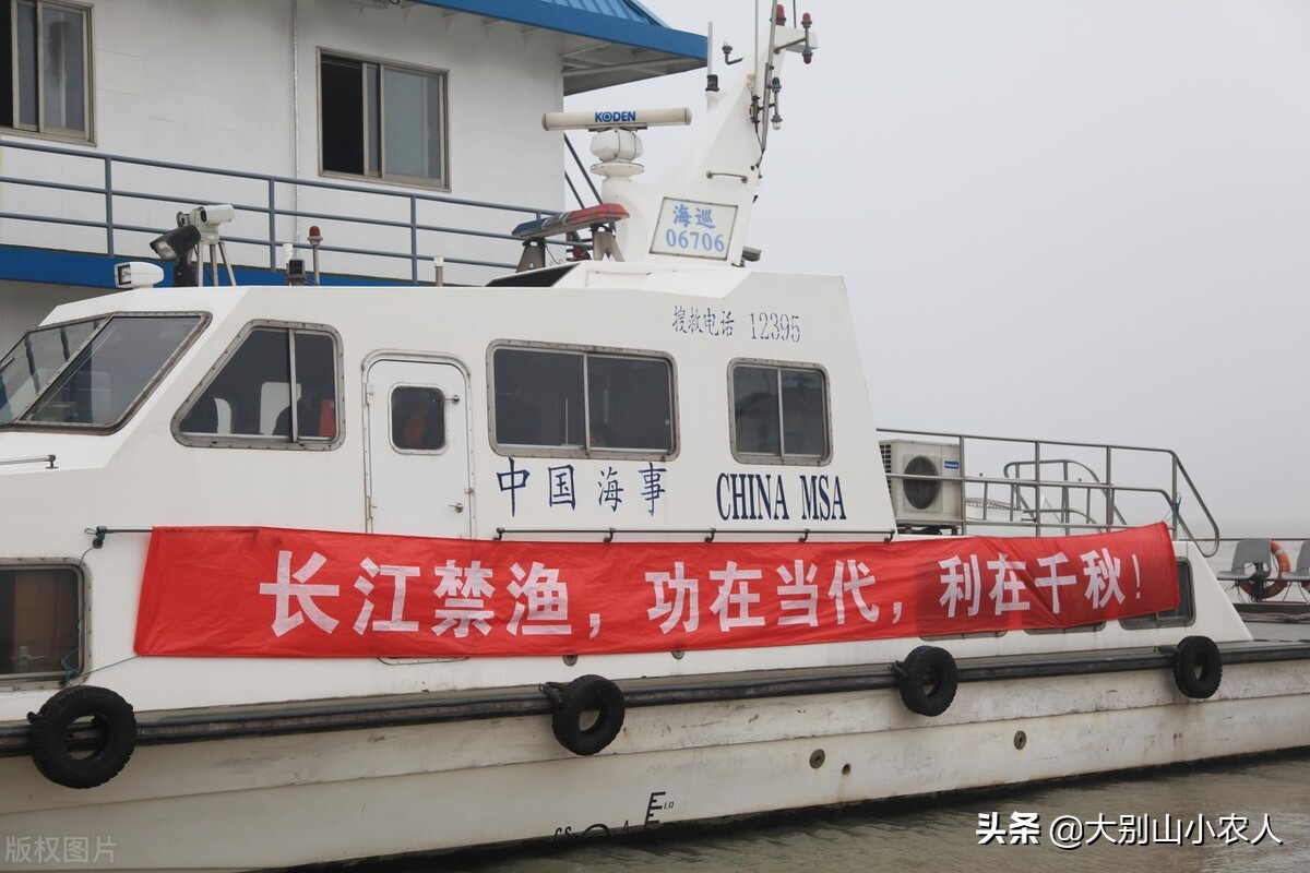 甲鱼枪在长江边耍横，巴掌大的小甲鱼钓了一桶，祖传手艺也要罚