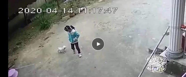 13 岁少年疑杀 10 岁堂妹，父母申请将他送少管所重新做人