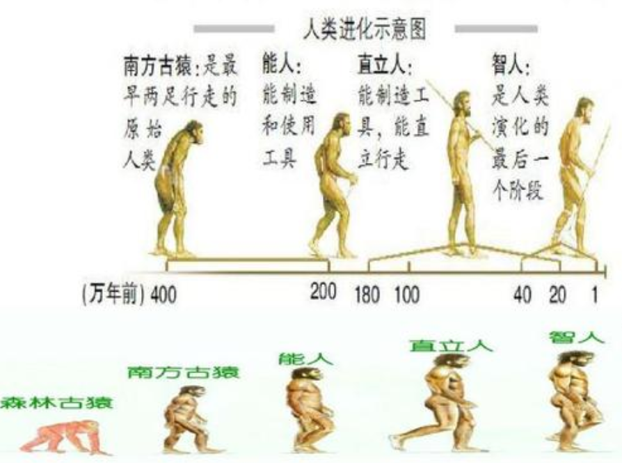 中国人非本地起源？研究：现代人抵达华南不超过6万年