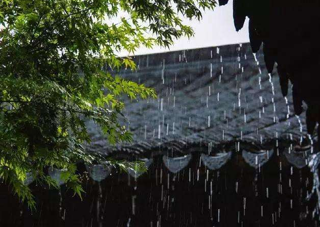 「诗词鉴赏」梅雨季节​，一起欣赏美丽的梅雨诗词