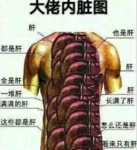 彩虹岛三转任务流程(三转任务流程解析解读)-第3张图片-腾赚网