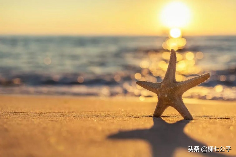 愿你历经千帆，回首不忘初心；愿你出走半生，归来仍是少年