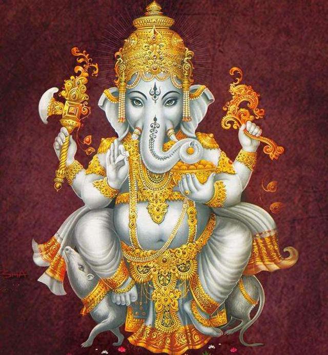 小孩跪拜大象微信图片(印度) - 赤虎壹号