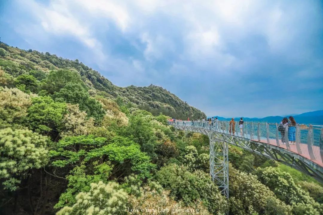 新打卡圣地「丫山」!带你泡暖冬药浴,探秘森林玻璃栈道