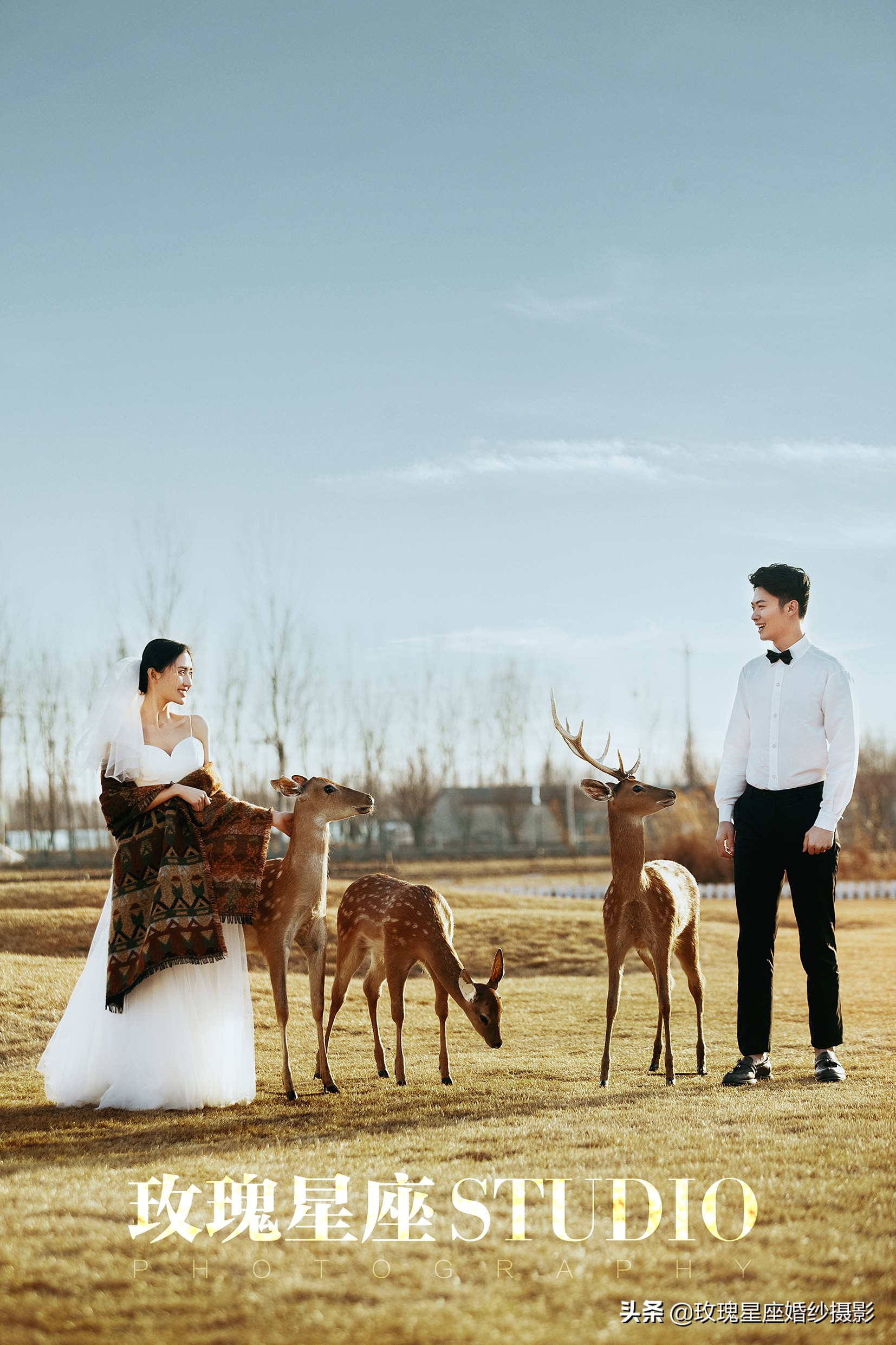 春风十里,一"鹿"有你!