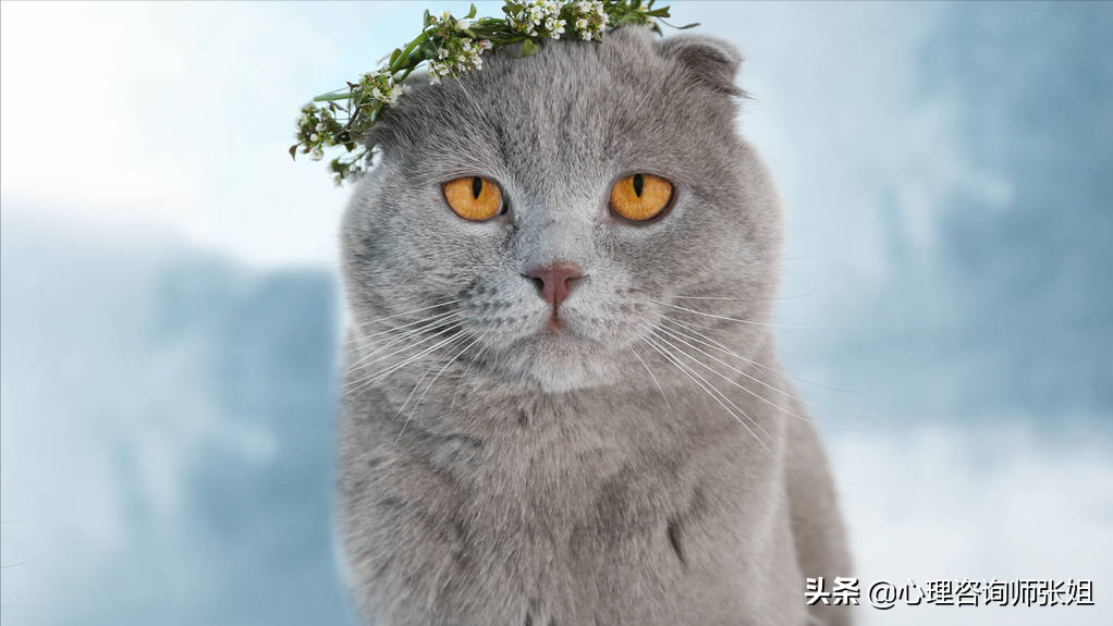 用什么借口和公司领导请假，才能被批准？