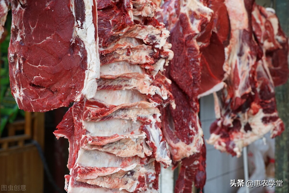现在牛肉价格多少钱一斤？是涨是跌？2021年9月牛肉价格走势预测